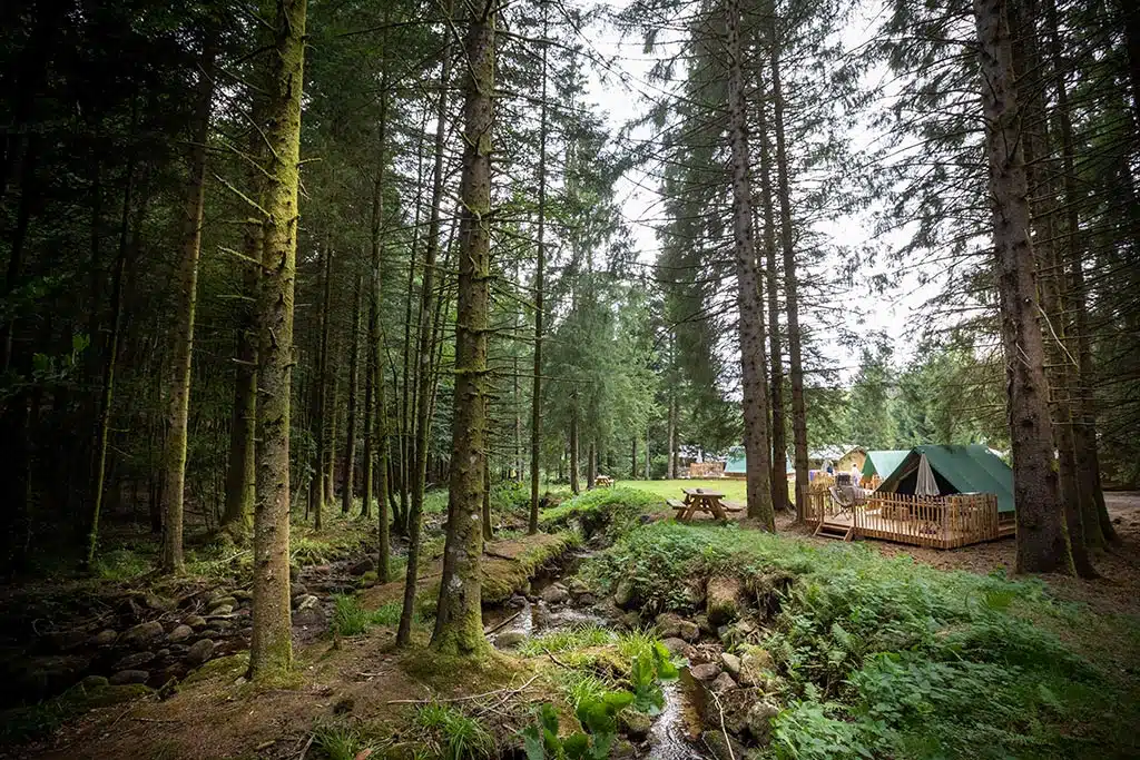 Luxus-Zelte mit Holzboden und hölzerner Veranda inmitten des Waldes