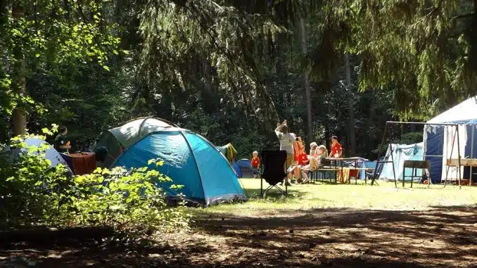 So campen die Deutschen: Camper und Zelte im Wald